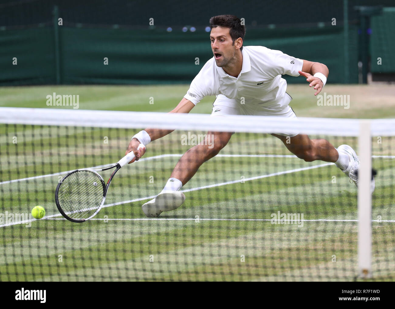 Lettore serbo Novak Djokovic in azione a Wimbledon, Londra, Gran Bretagna, Regno Unito. Foto Stock