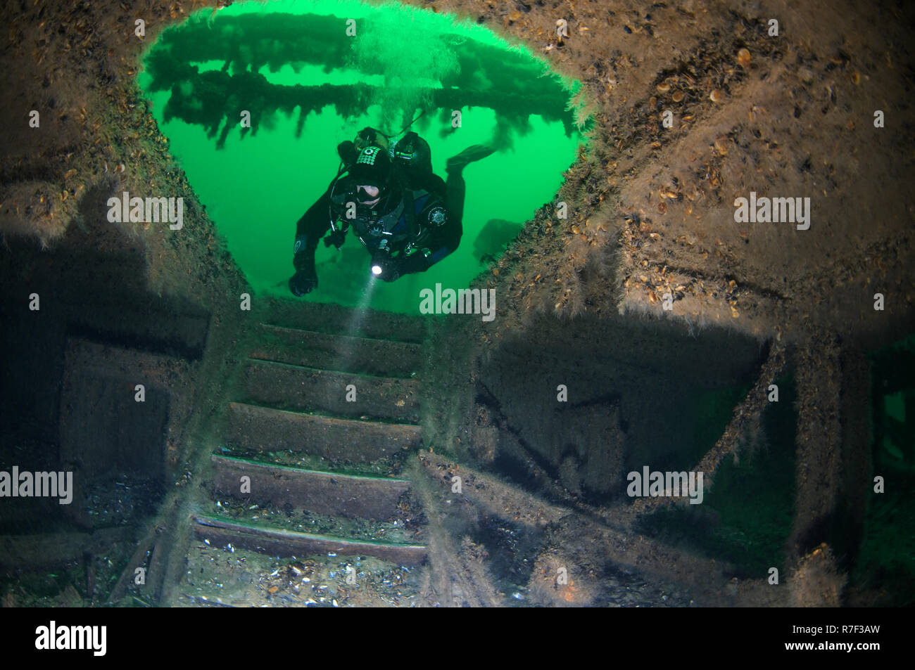 Subacqueo presso le scale che portano al piano inferiore del naufragio della ruota austriaco steamship 'Durnstein', Odessa, Mar Nero Foto Stock