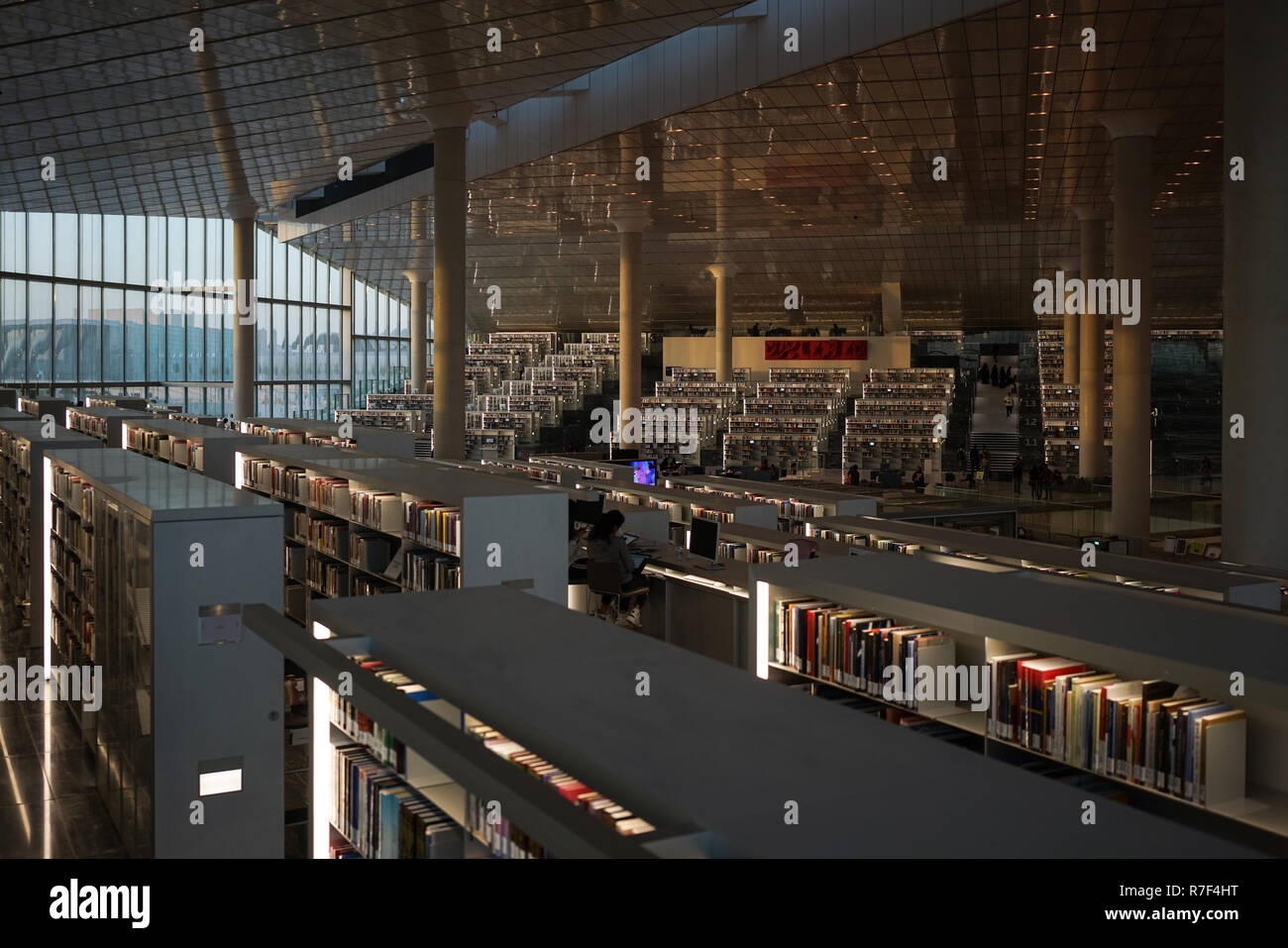 Il 45.000 mq di Qatar National Library all'avanguardia di edificio, si trova nel cuore della città di istruzione. Mondo-famoso architetto Rem Koolhaas il design assomiglia a due pezzi di carta che sono tirate e ripiegate diagonalmente in corrispondenza degli angoli per creare una struttura a guscio che racchiude il piano aperto interno. Il principale spazio interno è progettato per consentire una precisa quantità di luce solare di entrare e di mantenere una connessione con il mondo esterno. Foto Stock