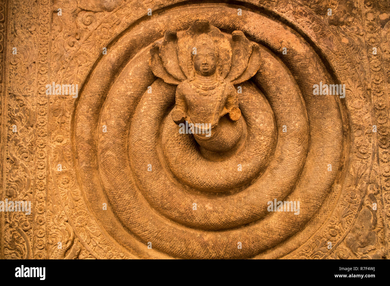 Nagaraja o il Re dei serpenti scolpiti nel soffitto della caverna 1. Shiva utilizzato per indossare il Re Serpente intorno al suo collo come una ghirlanda. Foto Stock