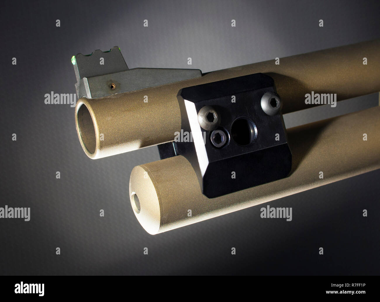 Quick Disconnect e torcia elettrica per il montaggio di una pompa fucile da  caccia di azione Foto stock - Alamy