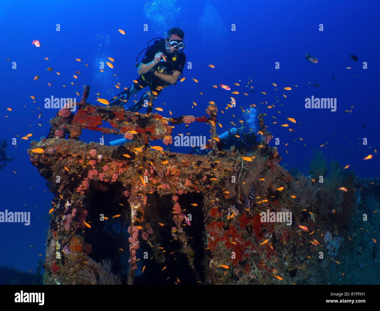 Wreckdiver delle Maldive Foto Stock