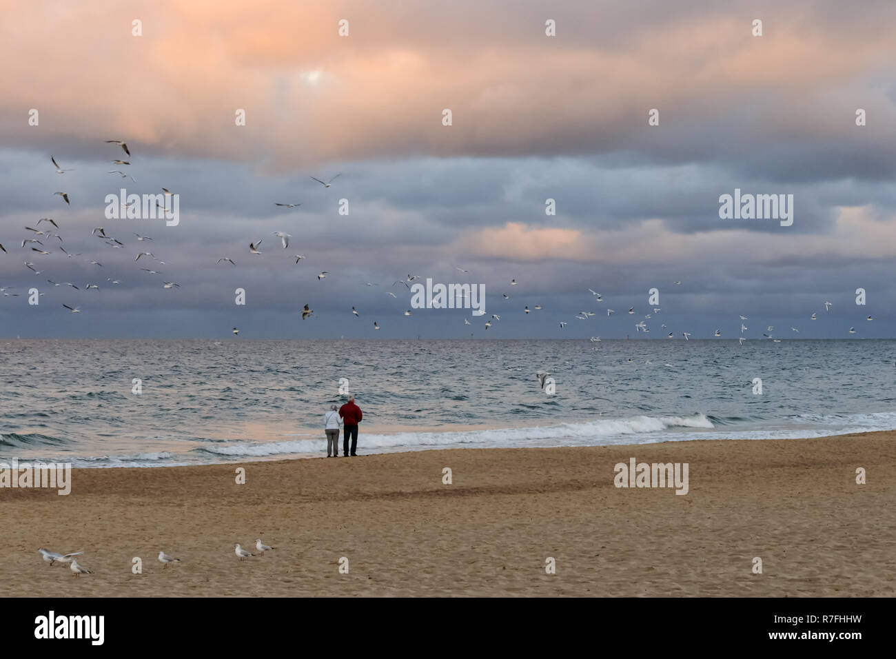 La vecchiaia per due. A piedi dal mare, donna, uomo e cane coppia senior abbracciando e camminare sulla riva del mare Foto Stock