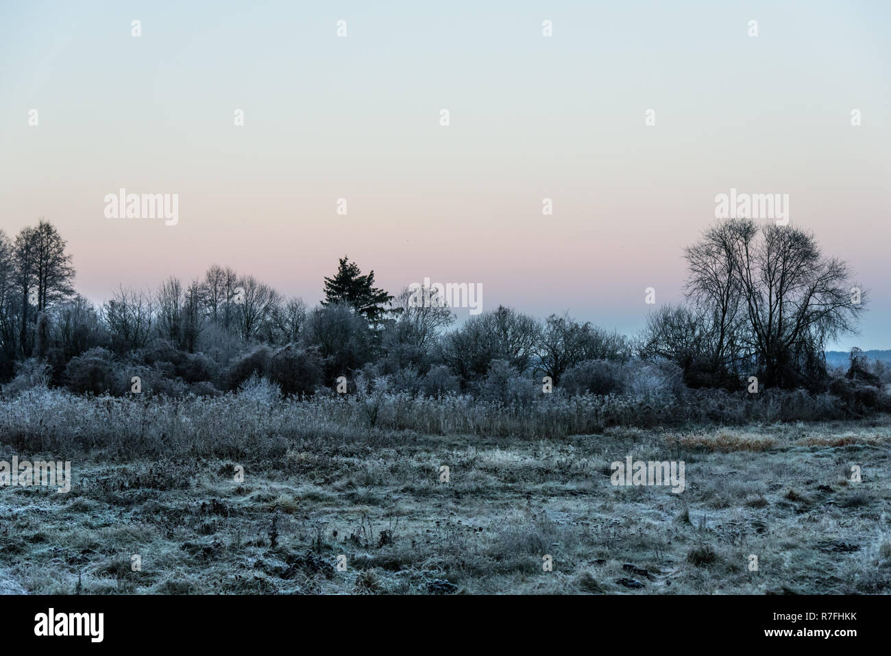 La brina, il primo gelo, un paesaggio fatto di sunrise in Polonia nord-orientale Foto Stock