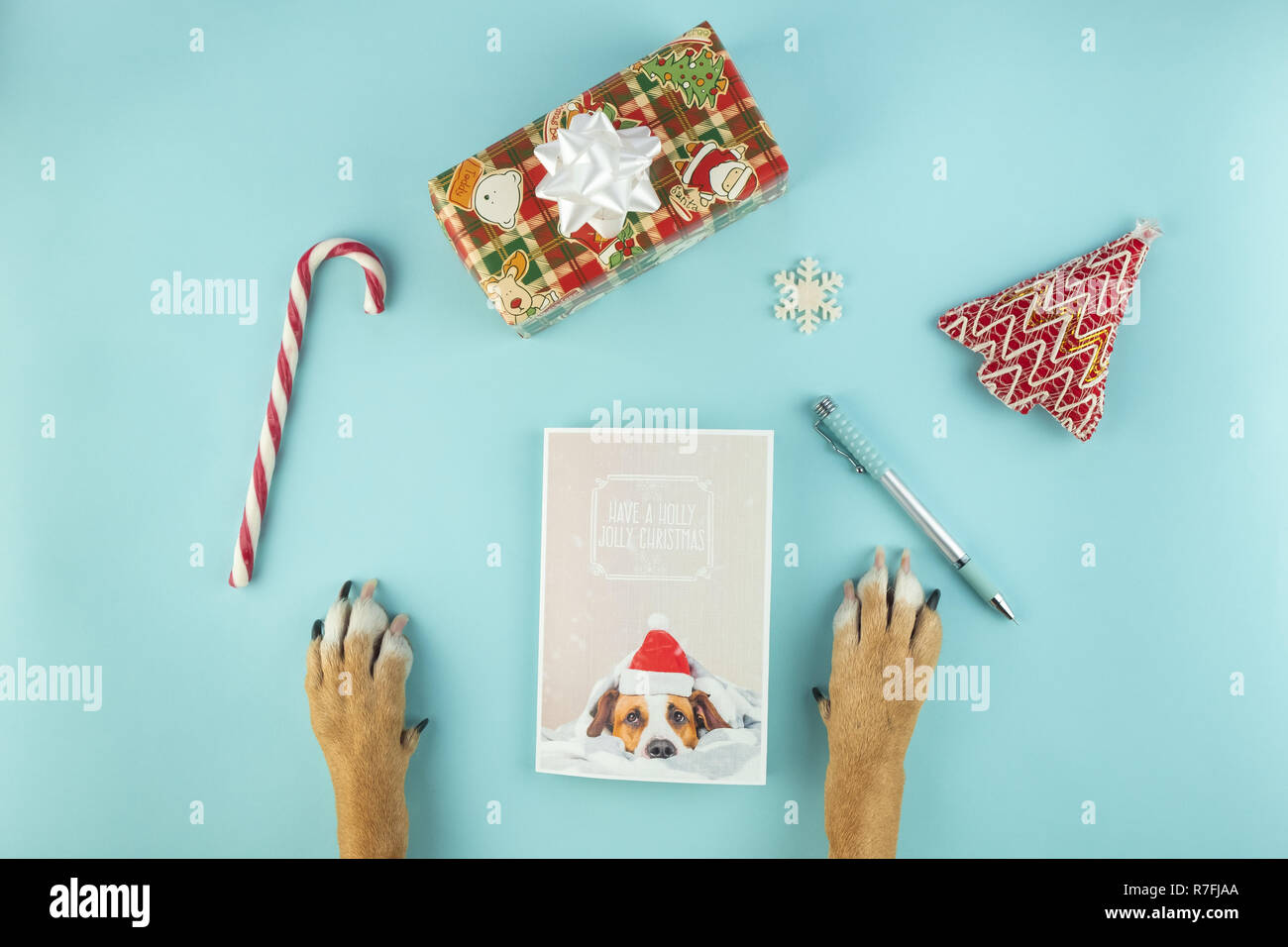 La scrittura di Natale greeting card concept, vista dall'alto. Zampe di cane, anno nuovo cartolina e vacanze puntelli su fondo azzurro Foto Stock