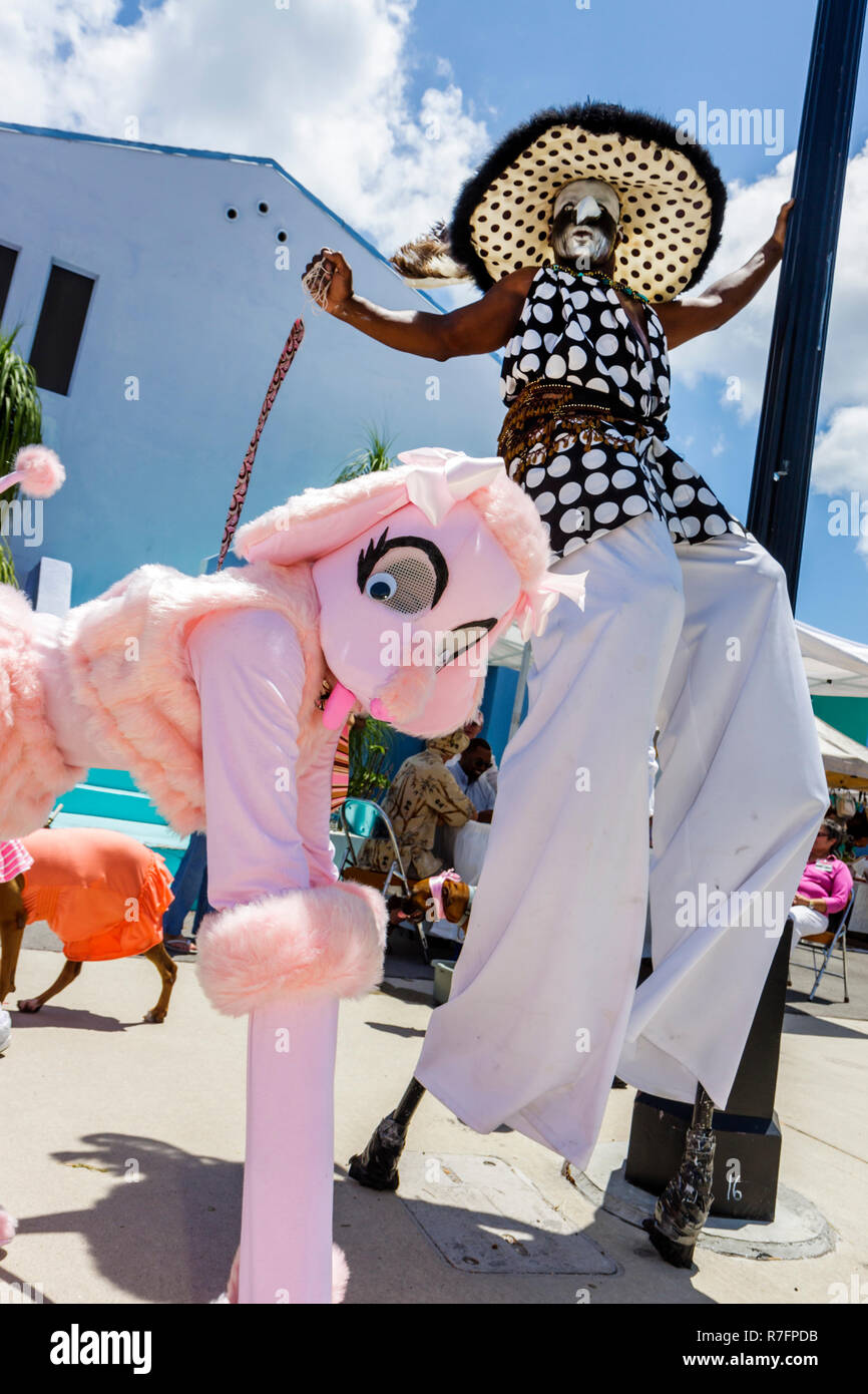 Miami Florida, Biscayne BoulevardMiami Florida, MIMO Historic District, Biscayne Boulevard, eventi di quartiere, Cinco de MIMO Festival, Pink Pooch Parade An Foto Stock