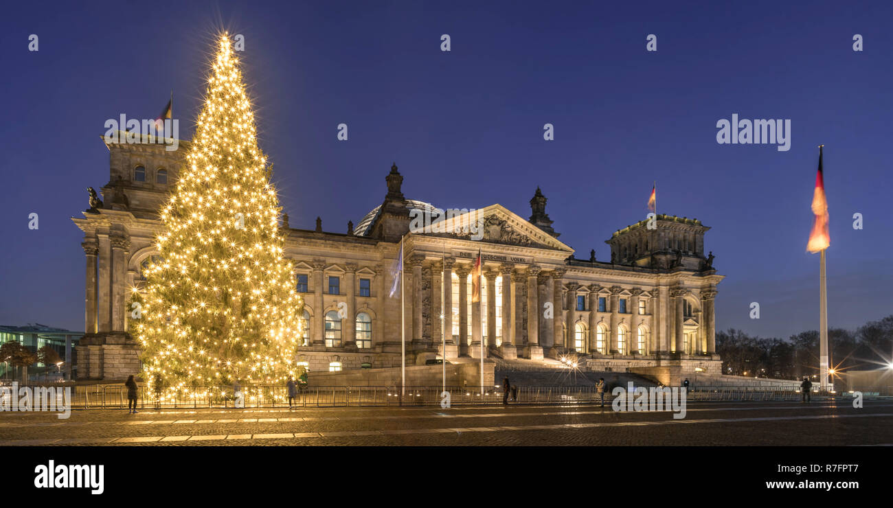 Albero di natale nella parte anteriore del Reichstag di Berlino Foto Stock