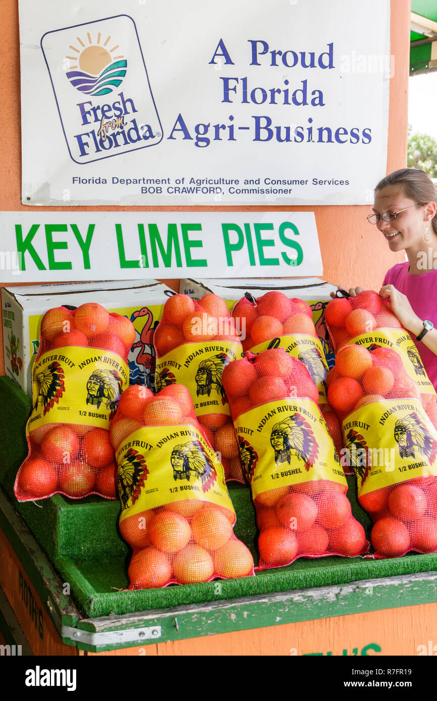 Miami Florida,DAVIE,Bob Roth's New River Grove,stand di frutta sulla strada,prodotti locali,arancio,una mezza macchia,sacco,borsa,frutta indiana,murale,arancio,si Foto Stock