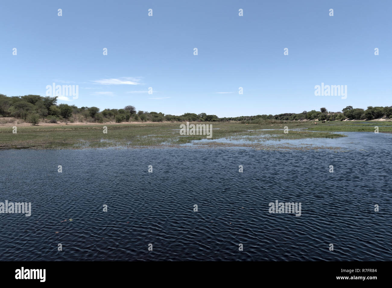 Paesaggio di fiume Boteti, Makgadikgadi National Park, Botswana, Africa Foto Stock