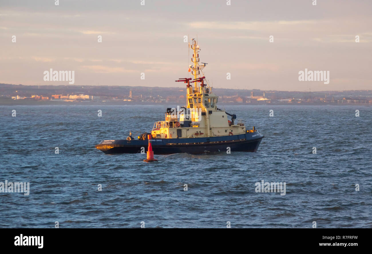 Un Middlesbrough harbour tug Phoenix Cross in attesa di connessione alla Cinese Portarinfuse YUE DIAN9615133 IMO arrivando a rotte Teesport per il terminale di bulk Foto Stock