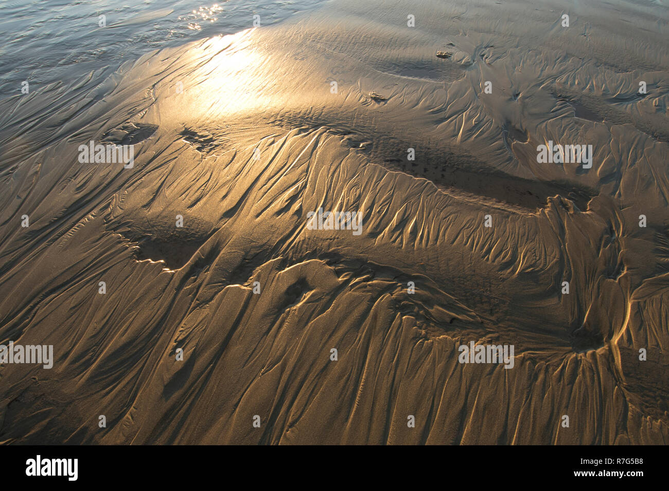 Modelli di sabbia al tramonto, Oregon Coast, Oregon, Stati Uniti d'America Foto Stock