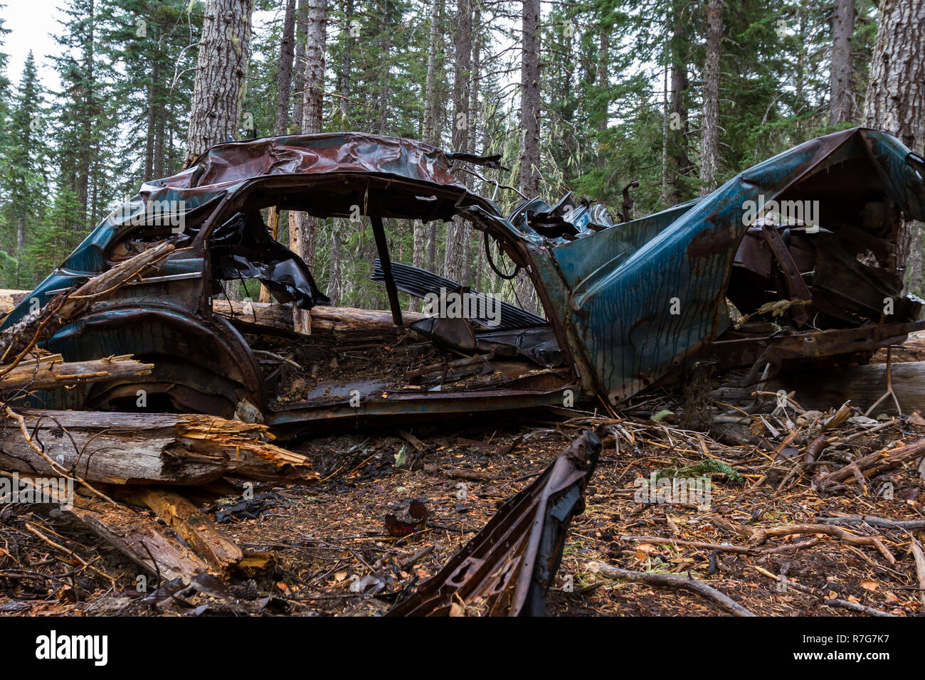 Vecchio totalizzato vettura trovato nei boschi in Oregon Foto Stock