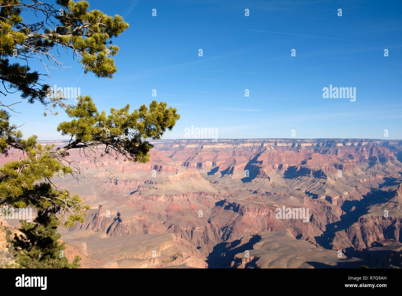 Immagini dal bordo Sud del Grand Canyon Foto Stock
