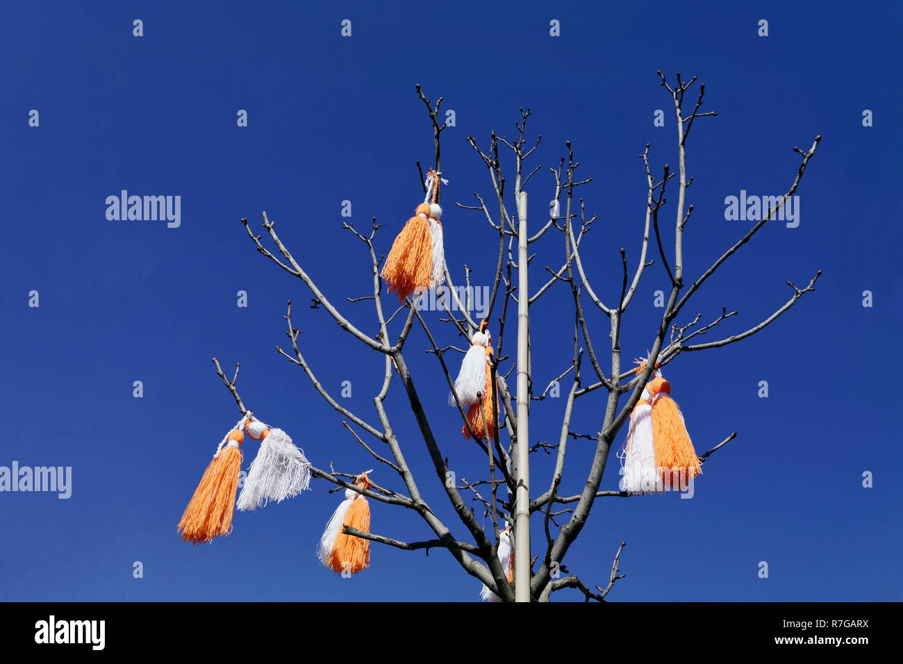 Martenitsa appesa su un albero a Sofia, Bulgaria. Il 1° bulgari scambiano la lana rossa e bianca Martinitsa Foto Stock