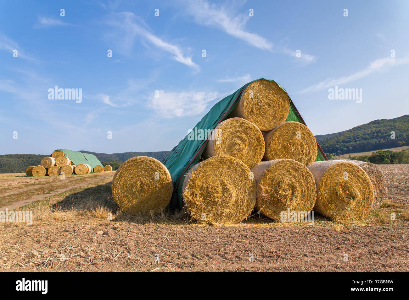 Il paesaggio in Germania con la pila di rotoli di paglia nel campo di grano Foto Stock