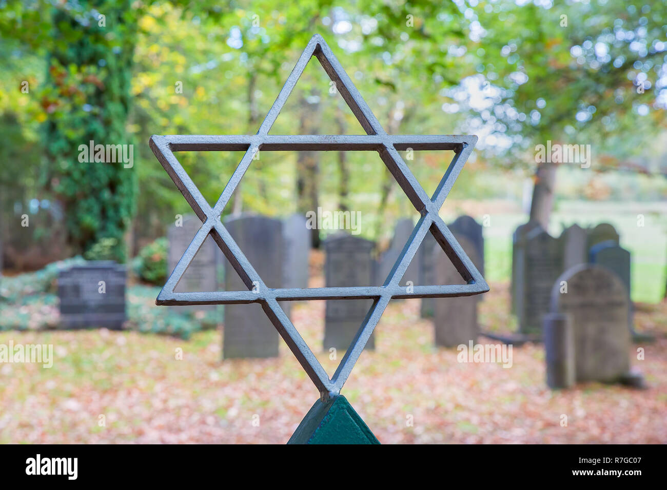 Cimitero ebraico con la stella di Davide e alberi Foto Stock
