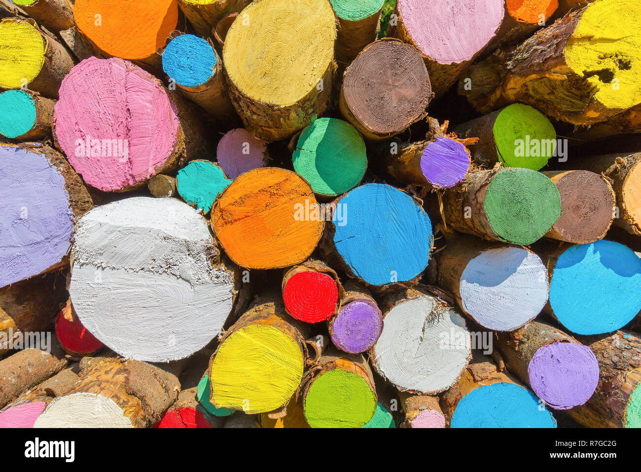 Pila di dipinto di tronchi di alberi con colori misti Foto Stock