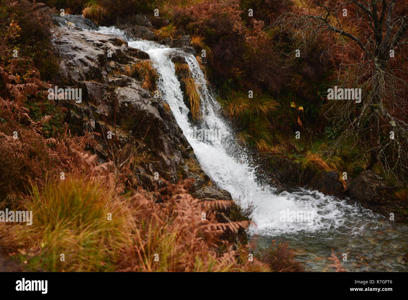 Fiume Autunnale gallese Foto Stock