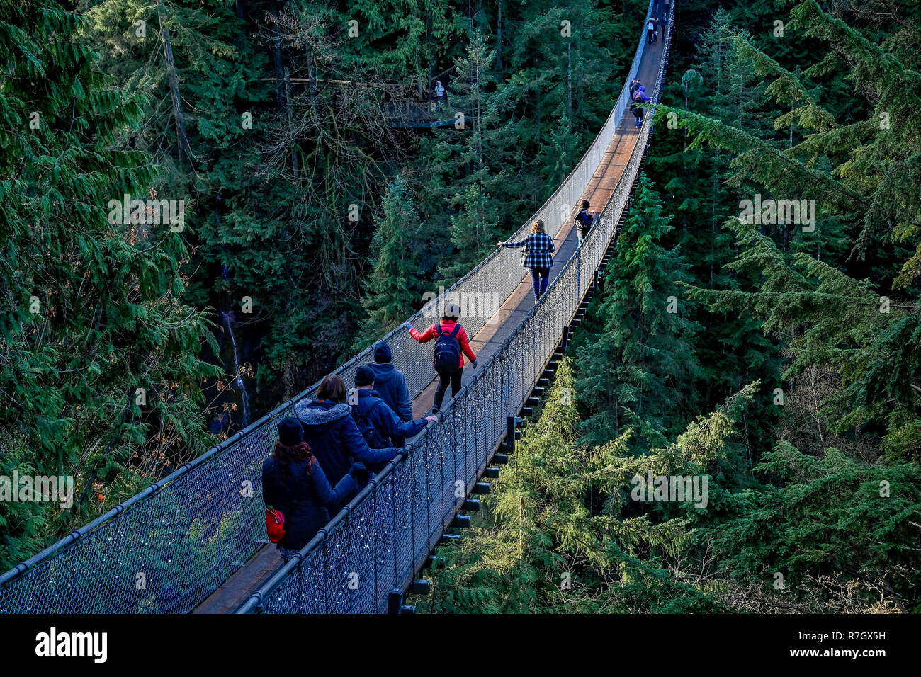 Ponte Sospeso di Capilano Park, North Vancouver, British Columbia, Canada Foto Stock