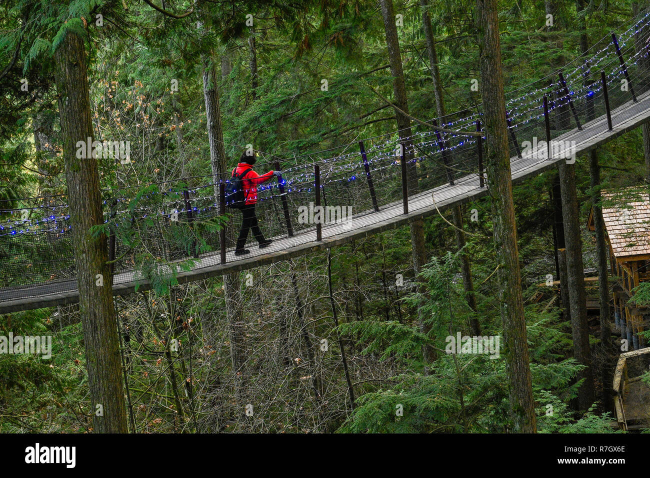 Treetops avventura Canyon e luci, del Ponte Sospeso di Capilano Park, North Vancouver, British Columbia, Canada Foto Stock