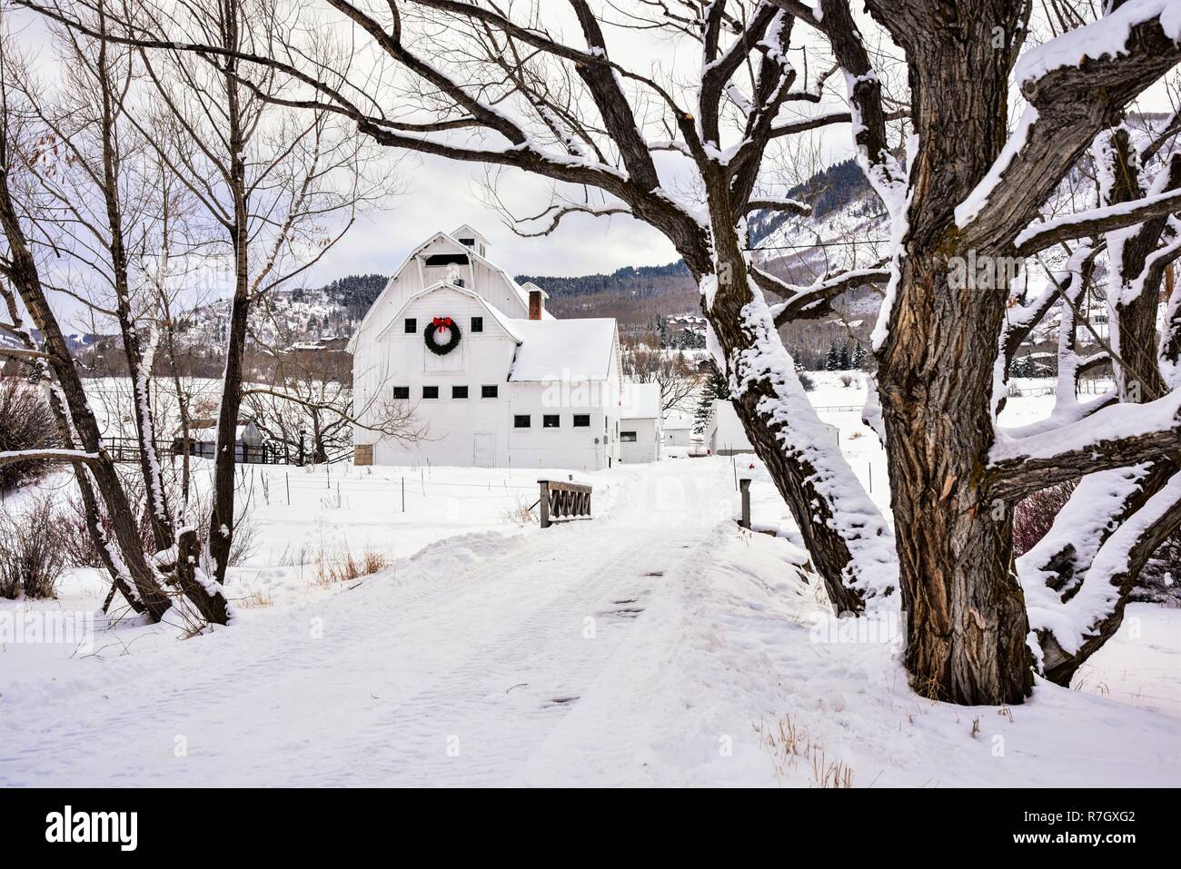 Caseificio bianco fienile con ghirlanda di Natale in un prato nevoso di Park City, UT. Foto Stock