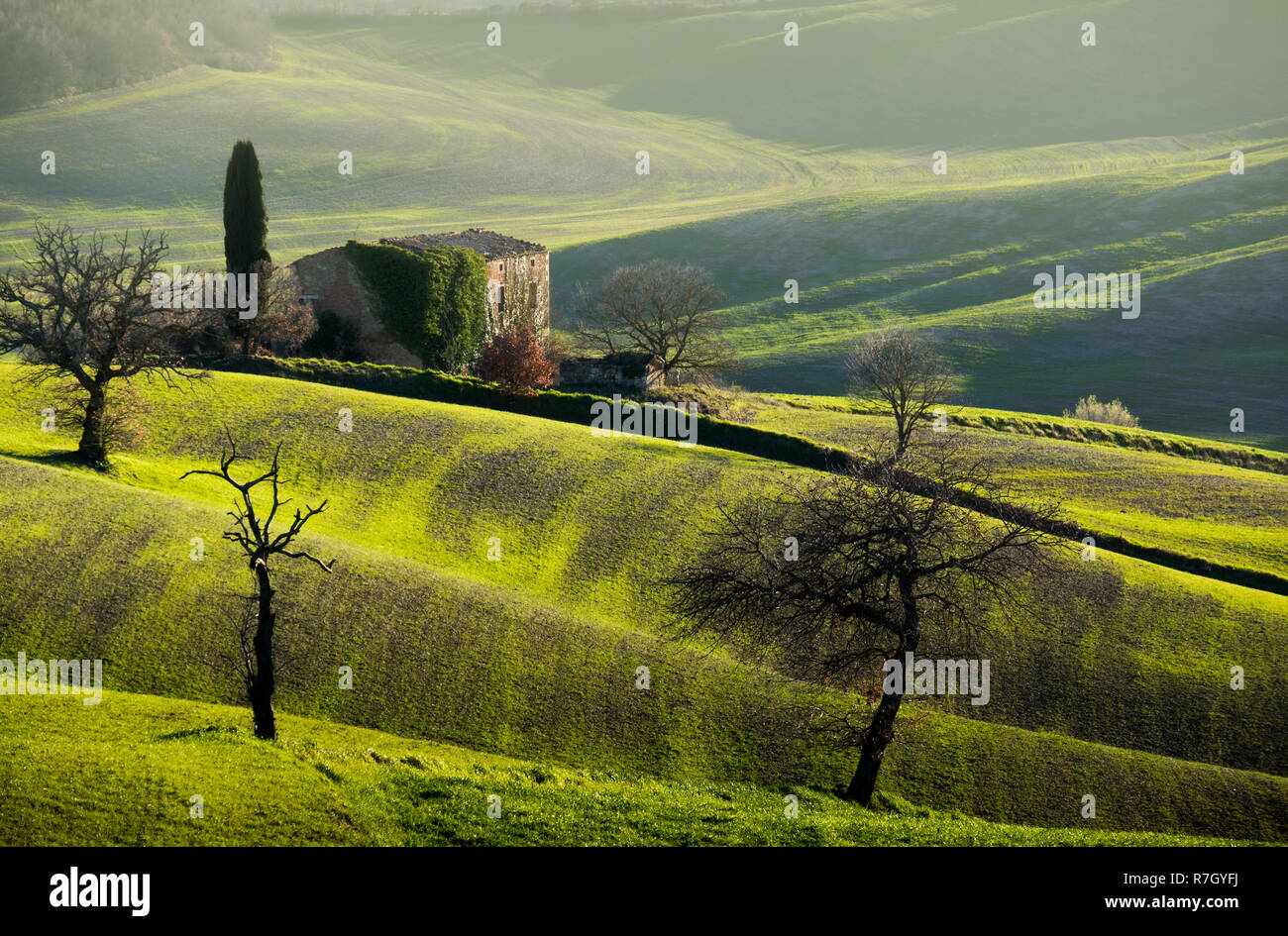 Paese mediterraneo cottage su verdi colline in primavera tempo su una mattinata nebbiosa, Toscana, Italia Foto Stock