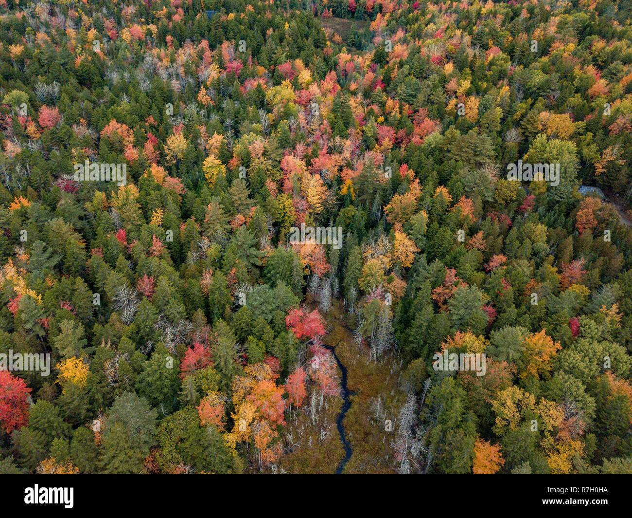 Parco Nazionale di Acadia Foto Stock
