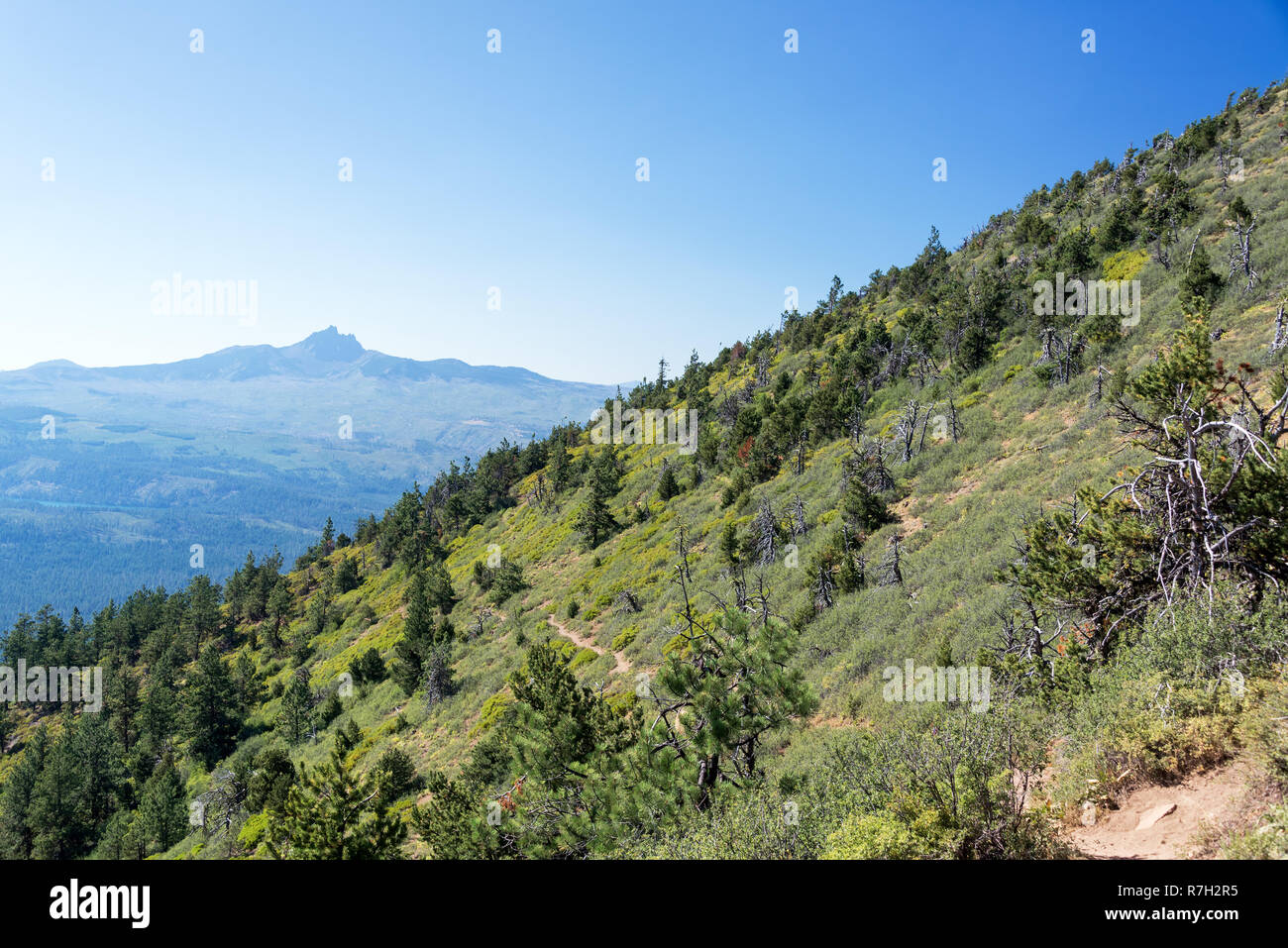 Il paesaggio come si vede dal nero Butte vicino a Bend, Oregon Foto Stock