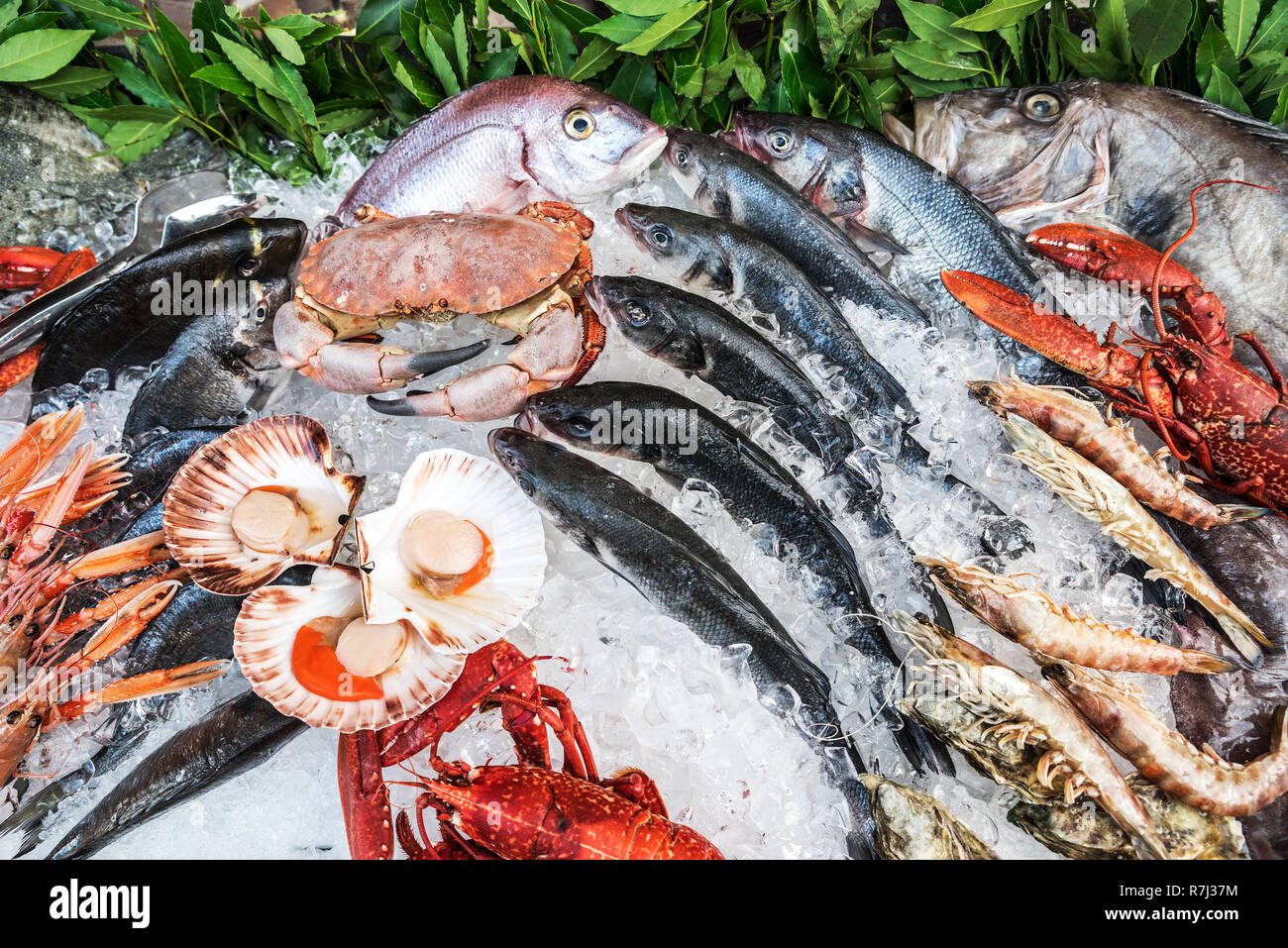 Abbondanza di frutti di mare raffreddata prodotti al mercato del pesce. Foto Stock