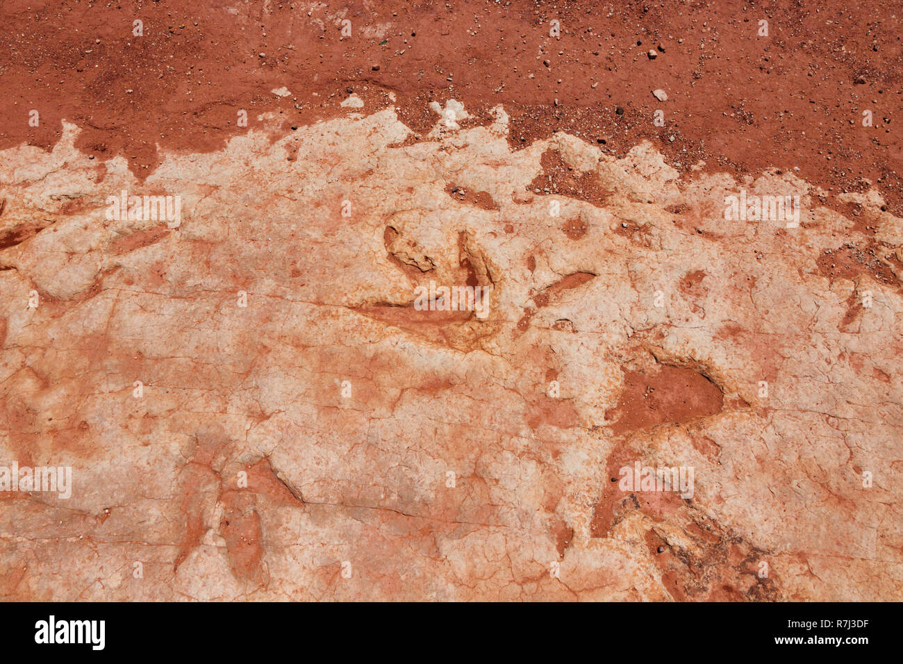 Moenkopi tracce di dinosauri queste tracce di dinosauri sono state formate nei primi Giurassico, circa 200 milioni di anni fa e sono stati verificati da Foto Stock