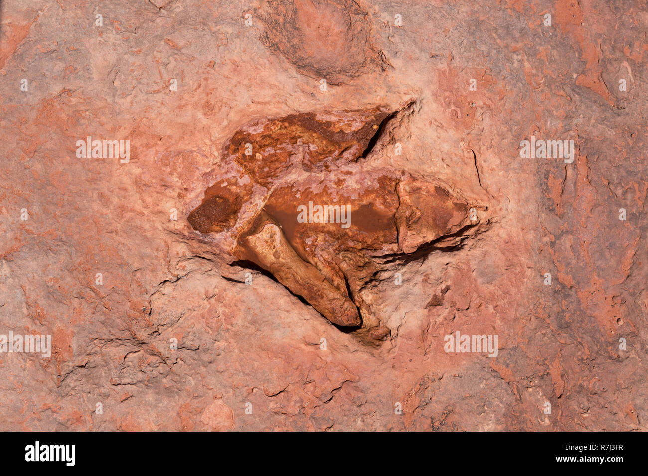 Moenkopi tracce di dinosauri queste tracce di dinosauri sono state formate nei primi Giurassico, circa 200 milioni di anni fa e sono stati verificati da Foto Stock