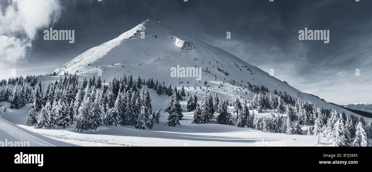 Incantevole paesaggio invernale delle montagne dei Carpazi. Petros picco coperto di neve. In bianco e nero photo. Foto Stock