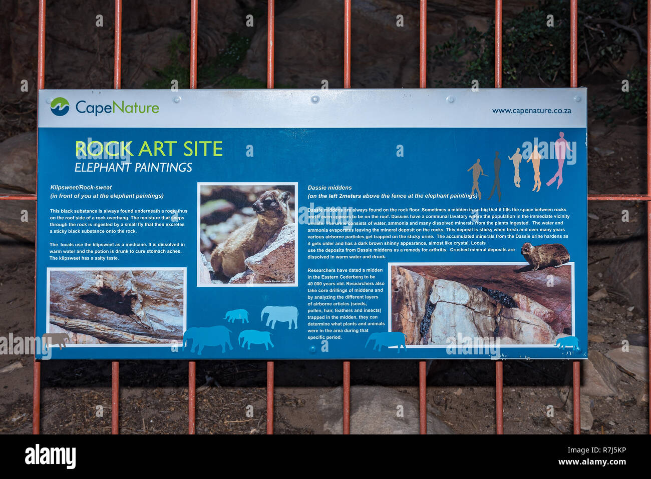 CEDERBERG, SUD AFRICA, 23 agosto 2018: una scheda di informazioni al San arte rupestre grotta all'Stadsaal Grotte del Cederberg Montagne in Wester Foto Stock