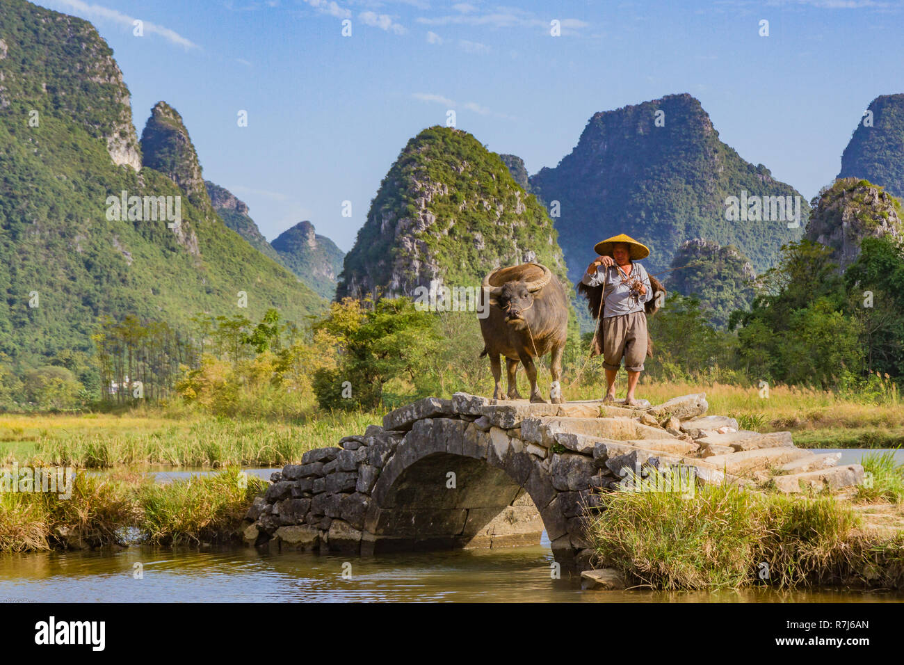 L'agricoltore cinese con il bufalo d'acqua sul ponte di pietra nella pittoresca valle circondata da ambiente carsico di colline in Huixian, Cina. Foto Stock
