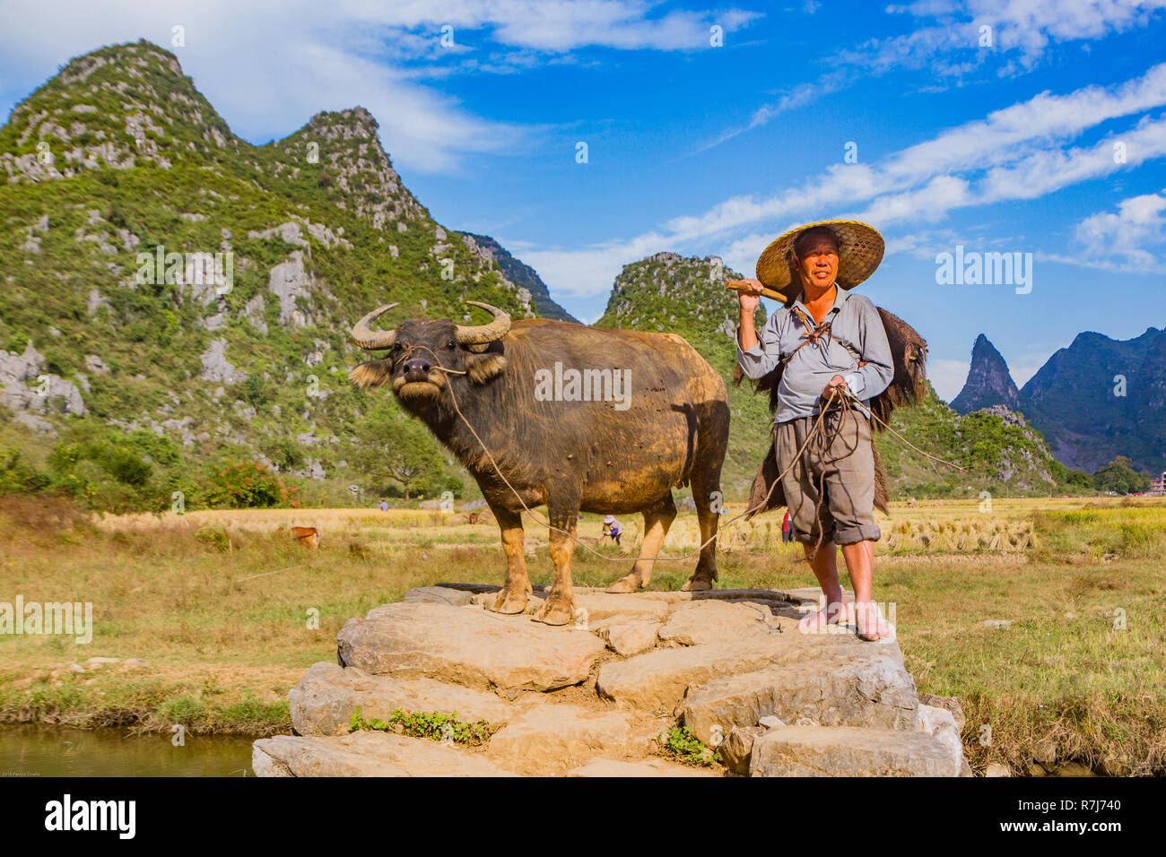 L'agricoltore cinese con il bufalo d'acqua sul ponte di pietra nella pittoresca valle circondata da ambiente carsico di colline in Huixian, Cina. Foto Stock