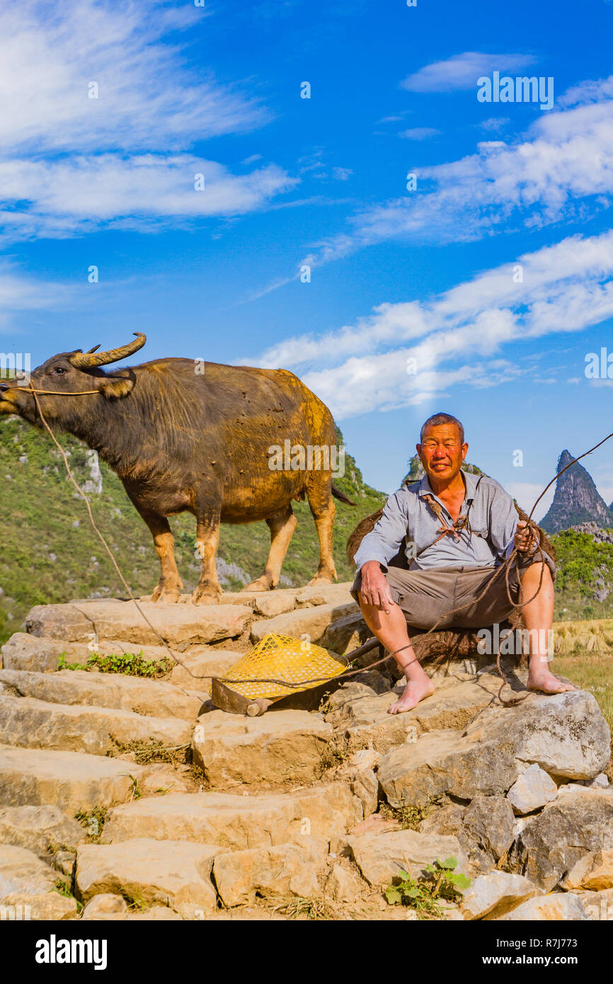 L'agricoltore cinese con il bufalo d'acqua sul ponte di pietra nella pittoresca valle circondata da ambiente carsico di colline in Huixian, Cina. Foto Stock