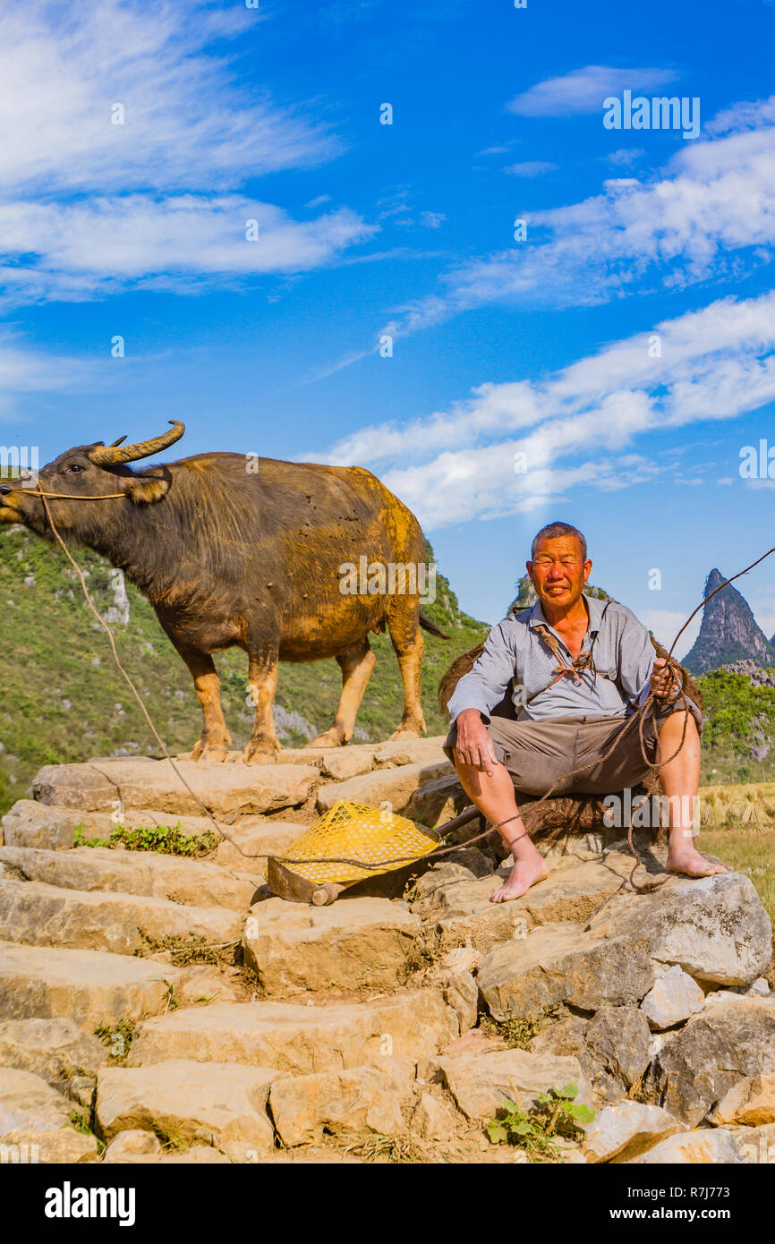 L'agricoltore cinese con il bufalo d'acqua sul ponte di pietra nella pittoresca valle circondata da ambiente carsico di colline in Huixian, Cina. Foto Stock L'agricoltore cinese con il bufalo d'acqua sul ponte di pietra nella pittoresca valle circondata da ambiente carsico di colline in Huixian, Cina. Foto Stock