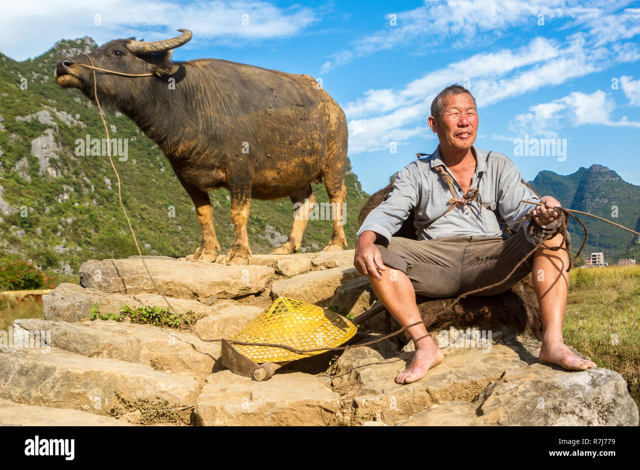 L'agricoltore cinese con il bufalo d'acqua sul ponte di pietra nella pittoresca valle circondata da ambiente carsico di colline in Huixian, Cina. Foto Stock