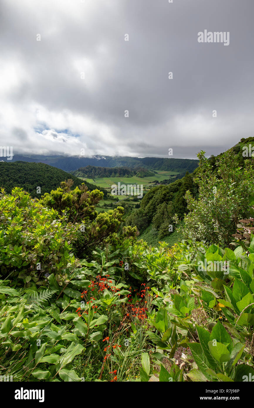 Bella vista ritratto della vita vegetale lungo il bordo delle Sete Cidades caldera in Sao Miguel. Foto Stock