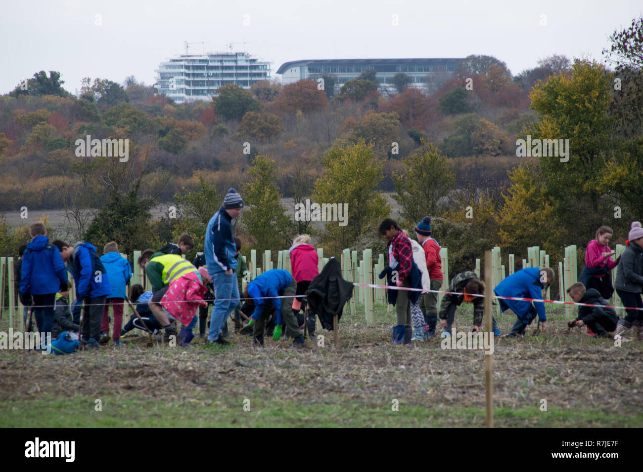 Rt Hon Chris Grayling MP unisce i ragazzi della scuola media locale per piantare alberi 100 del Woodland Trust Langley Vale il legno per contrassegnare il centesimo anniversario della fine di WW1. Langley Vale centenario il legno è in Inghilterra della Prima Guerra Mondiale centenario della legna sul bordo dell'Epsom Downs, nel Surrey. Il legno è iniziata nel 2014 avrà fino 200.000 alberi nativi quali faggi, rowan, biancospino e boschi di querce e di creare i tappeti di fiori selvatici che colpisce. La terra sarà trasformata in un posto pacifico con gli habitat naturali. Dotato di: atmosfera dove: Epsom, Regno Unito quando: 09 Nov 2018 Credit: Paul Taylor/WENN.com Foto Stock