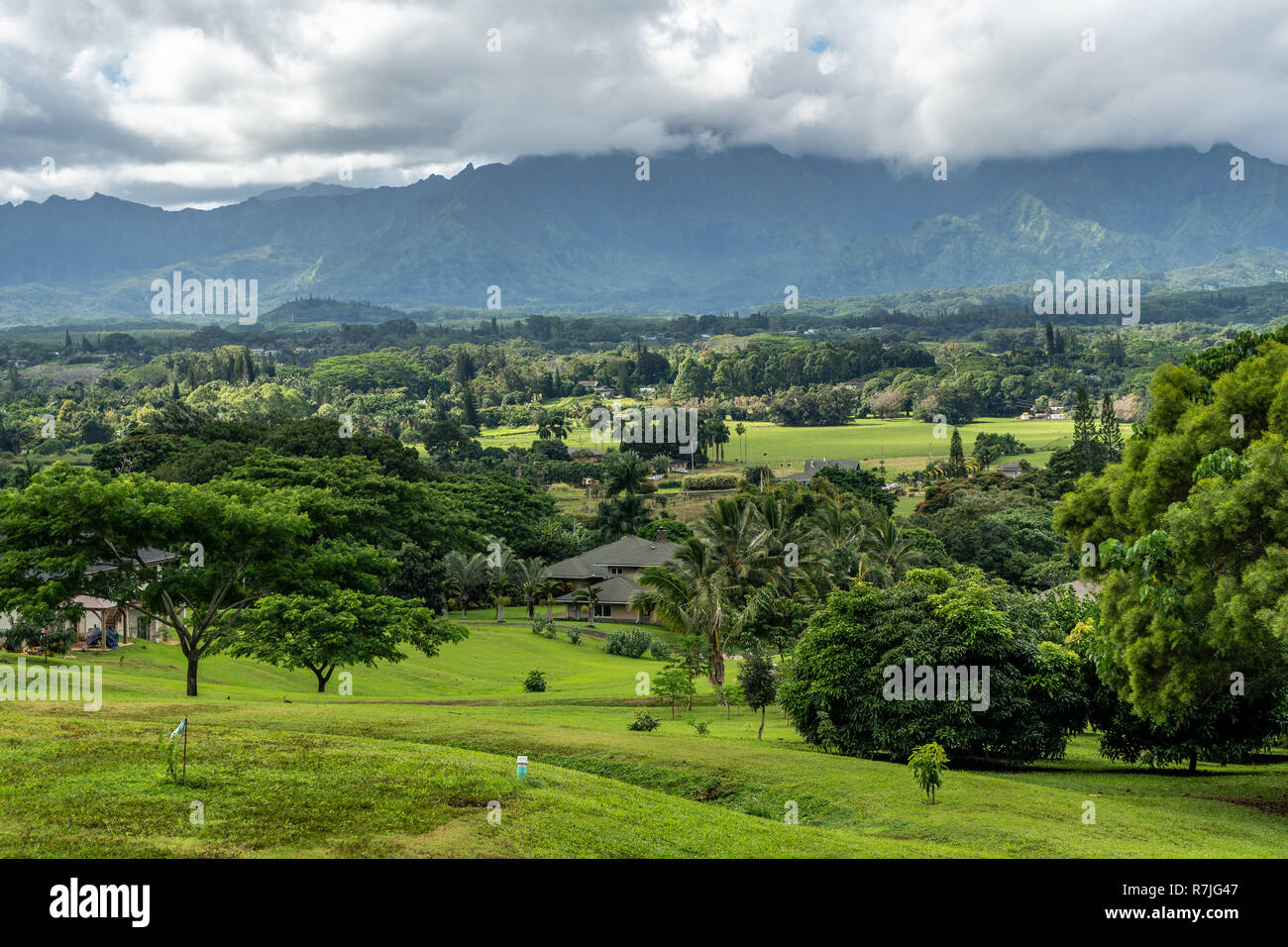 Alberi e campi aperti e case in un ambiente tropicale con la montagna e le nuvole in background Foto Stock