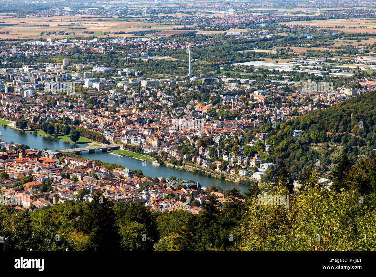 Vista sulla città vecchia di Heidelberg, Neckar, vecchio ponte Neckar, dietro i distretti più recenti, Germania Foto Stock