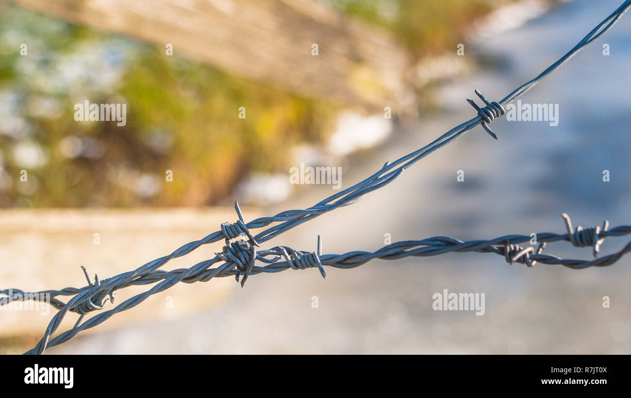 Filo di ferro con incentivi per proteggere i pascoli la deposizione Foto Stock