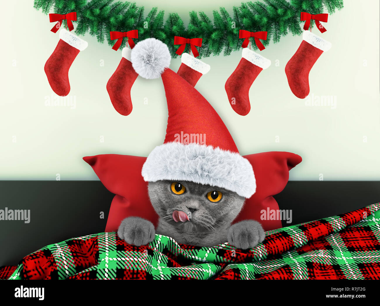 Decorato per il nuovo anno soggiorno con piccolo grazioso cat indossando il costume di santa Foto Stock