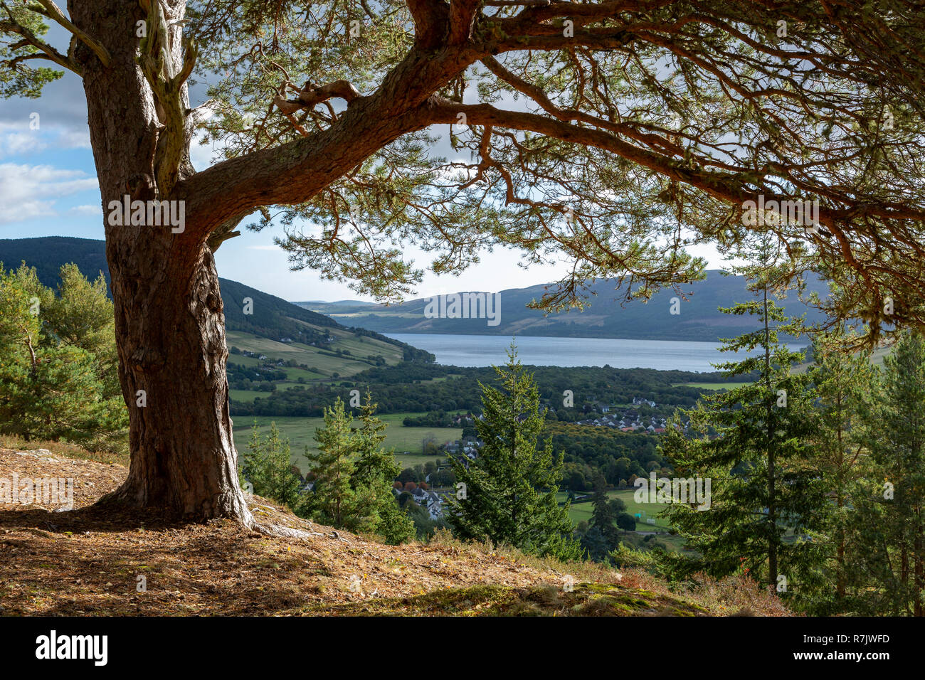 Urquhart Bay e Loch Ness dal punto di vista Craigmonie, Drumnadrochit, Scozia Foto Stock