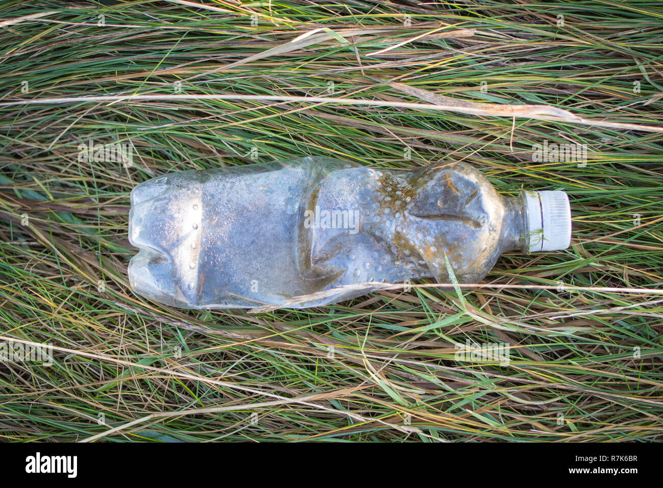 Il flacone di plastica gettato è stato trovato steso sull'erba e mostra segni di agenti atmosferici. Foto Stock