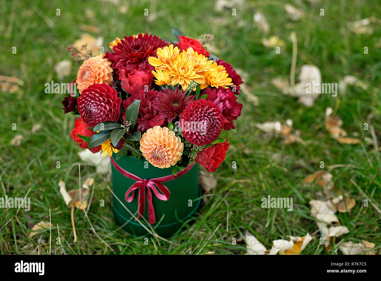 Floreale in una scatola, un vaso con rosa, rosso, arancio, marsala per una ragazza come un dono con rose, aestri, fresia, eucalipto su uno sfondo di diritto Foto Stock