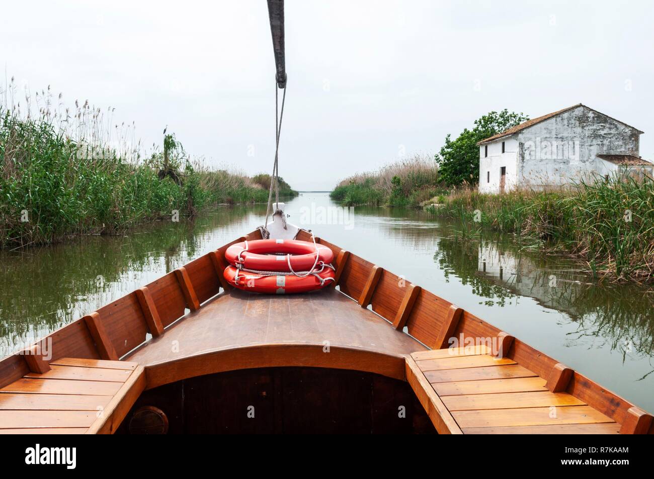 Spagna, Valencia, regione della laguna e lac del Parco Naturale dell Albufera Foto Stock