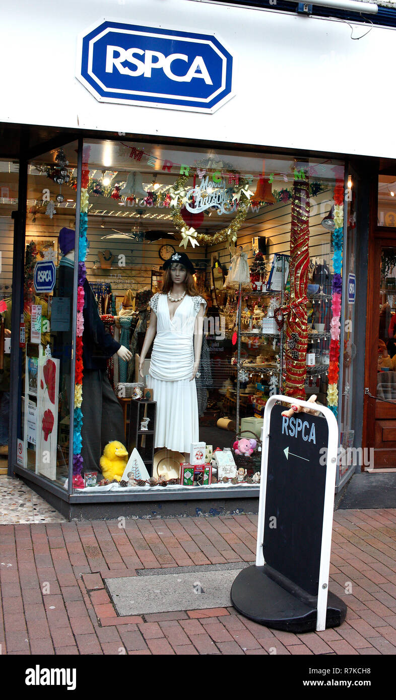 Rspca carità shop in città deal Kent REGNO UNITO Dicembre 2018 Foto Stock