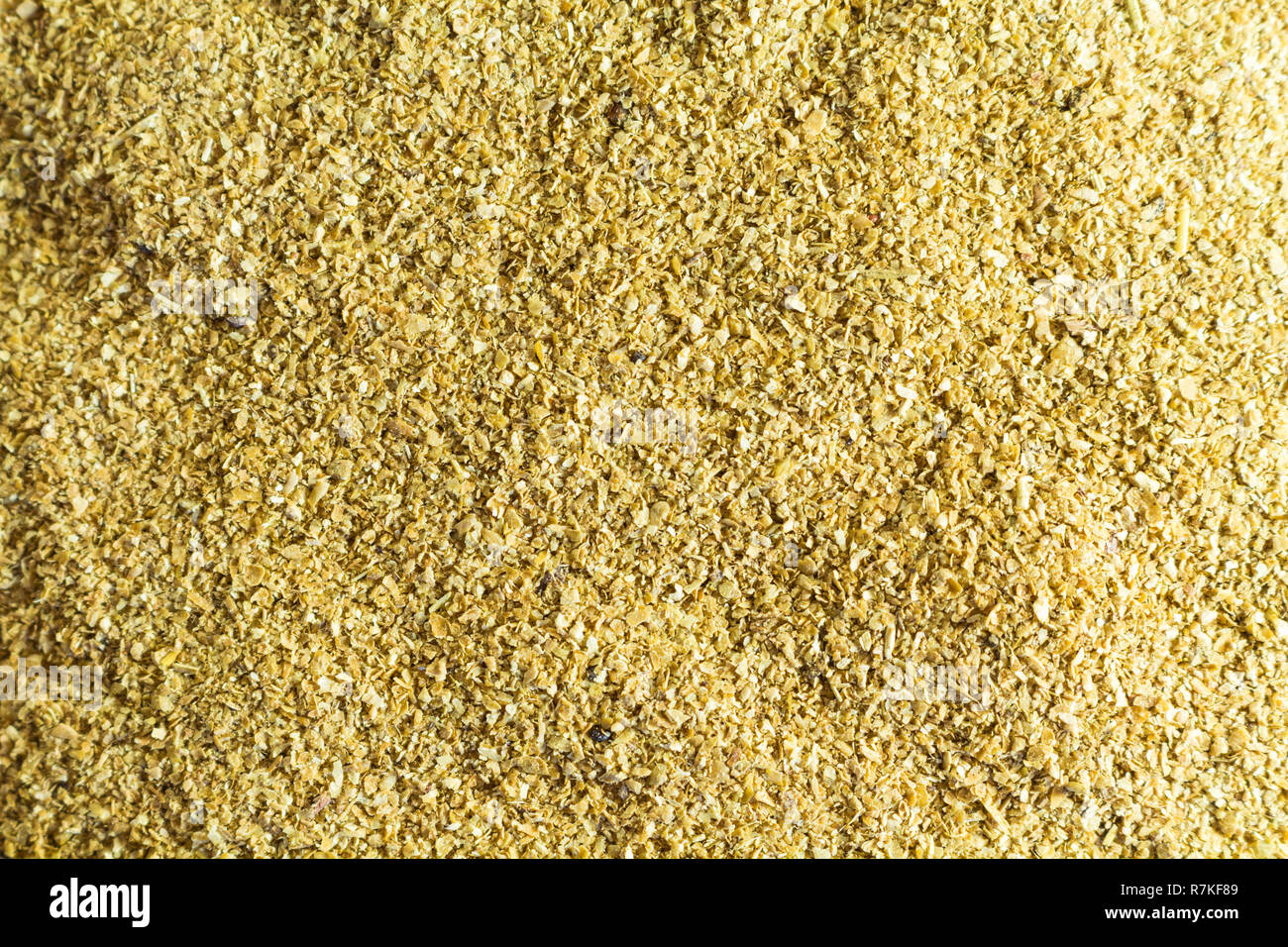 La cellulosa. Integratore alimentare. Guarda come la segatura di close-up Foto Stock